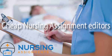 Cheap Nursing Assignment editors